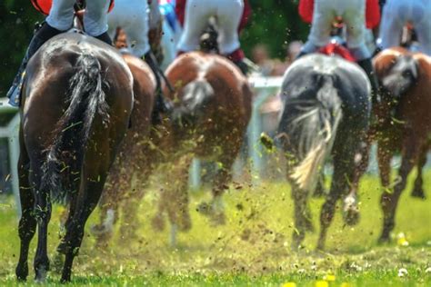 Horse racing term 'nap' explained with surprising origin.